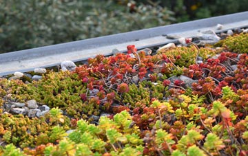 the cost of Birdforth green roof installation