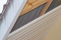 rated Birdforth soffit repair companies